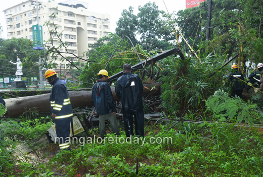 Tree fall